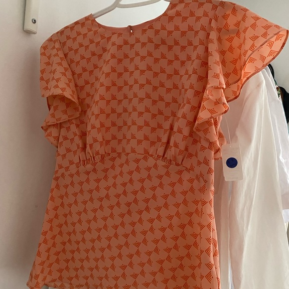 Joie salmon blouse - Picture 3 of 4